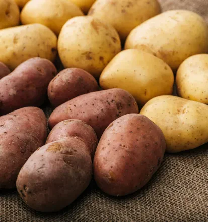 Dostava lokalnega sadja in zelenjave po dogovoru Dolenjska
