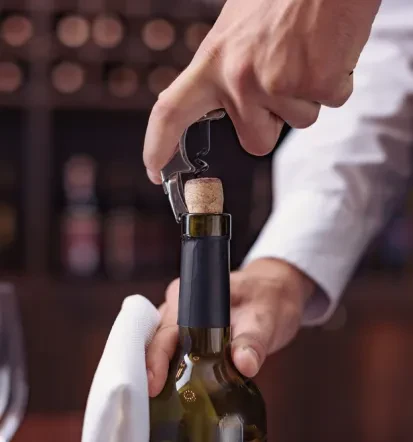 Degustacije vin za manjše skupine Pomurje