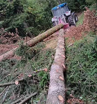 Razrez hlodovine Logatec za zasebne in poslovne naročnike