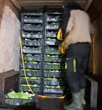 Kupite domačo zelenjavo Štajerska
