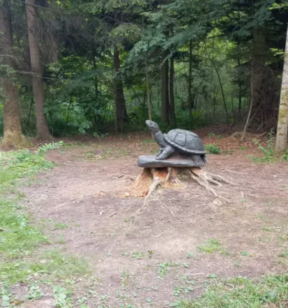 Najem piknik prostora za družine in podjetja