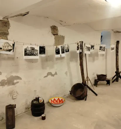 Koline in domača kulinarika na Kogu