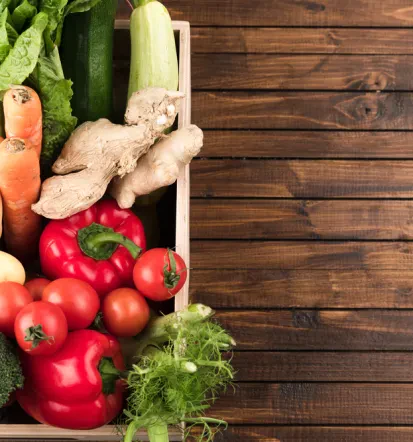 Nutricionist Slovenija
