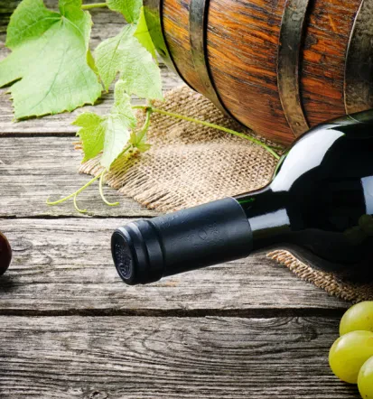 Degustacija vin, Haloze, pristna vinska izkušnja