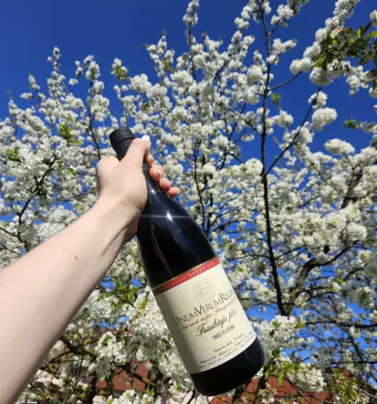 Ugodne degustacije vina Dolenjska