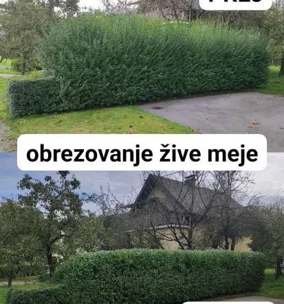 Obrezovanje žive meje Ljubljana