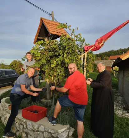 Pridelava vina Dolenjska