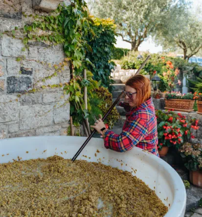 Družinska vinska klet Obalno-kraška
