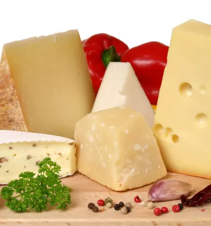 Domači mlečni izdelki iz Bovca, sir in skuta z okusom narave