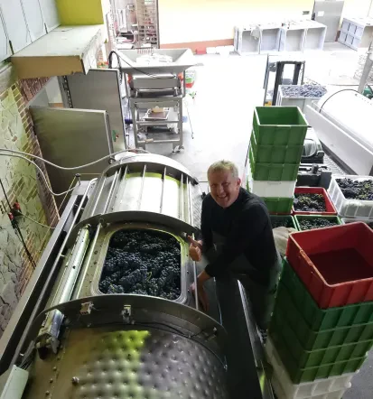 Rdeče vino Dolenjska