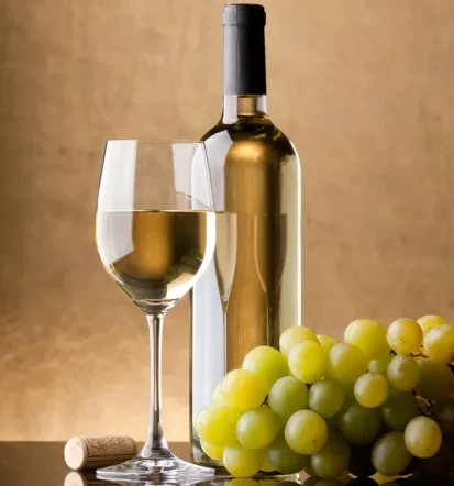 Vinska doživetja v severovzhodni Pomurje