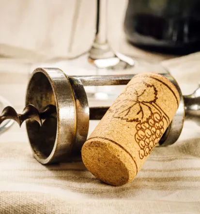 Degustacija vin Podlehnik, vinogradniška kmetija Haloze