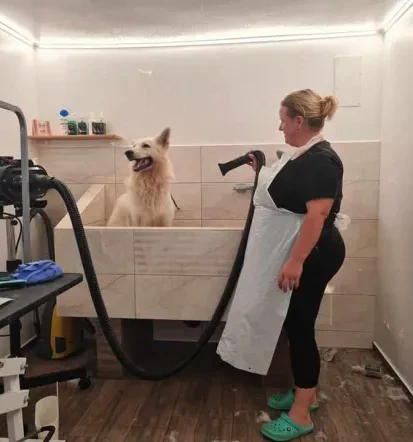 Pasji salon, dober pasji frizer Tržič, Gorenjska
