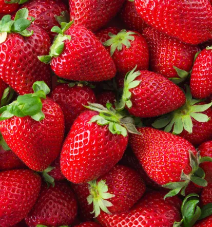 Smoothiji za lokale Slovenija