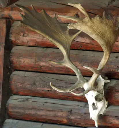Lovska družina Tolmin z dolgoletno tradicijo