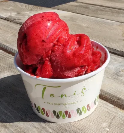 Domač jagodni gelato Pivka, Posatojna