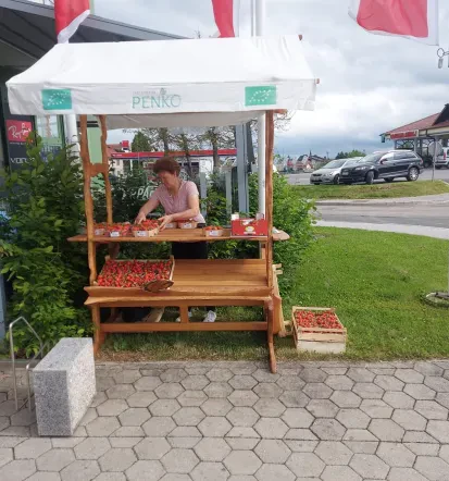 Jagode in maline Postojna