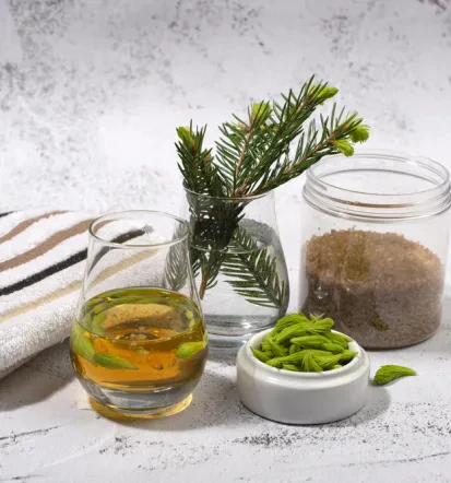 Sirup iz smrekovih vršičkov Kranjska Gora