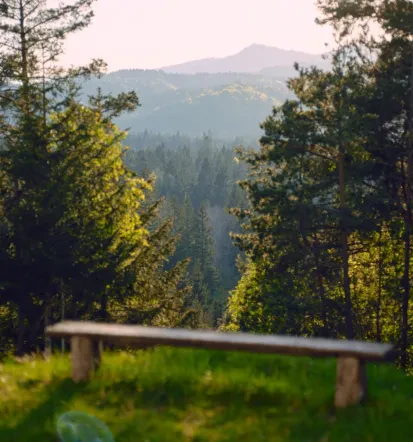 Naročite pašnja jajca in domače piščance v Postojni