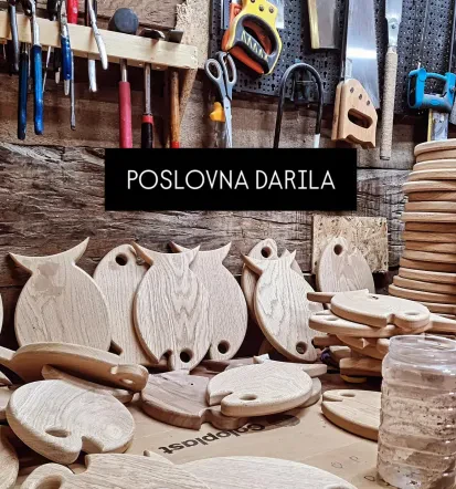 Monter pohištva Posavje