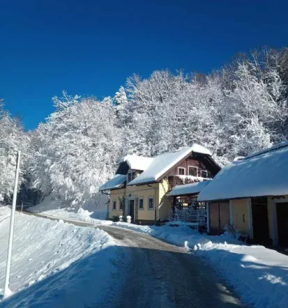 Počitniška hiša za 6 oseb Litija