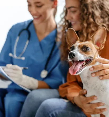 Veterinarska ambulanta Hrvatska