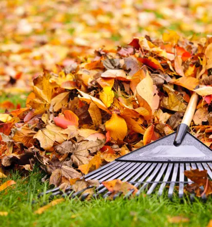 Redna kvalitetna košnja trave in obrezovanja Celje