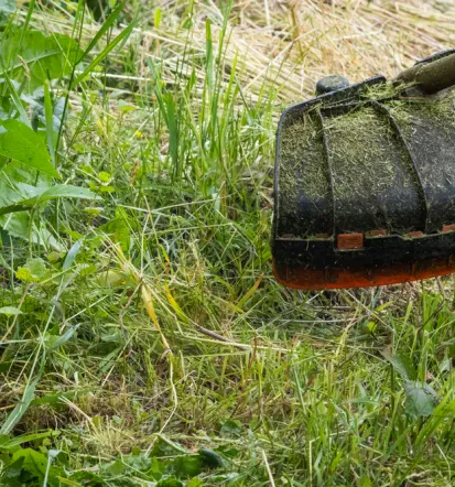 Hitro in učinkovito odstranjevanje podrasti in visoke trave