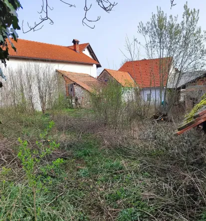 Mulčenje grmičevja in trnja brez stroškov odvoza Sežana, Primorska