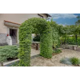 Apartma pri Cesarjevih