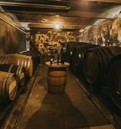Domače rdeče vino Maribor, Štajerska