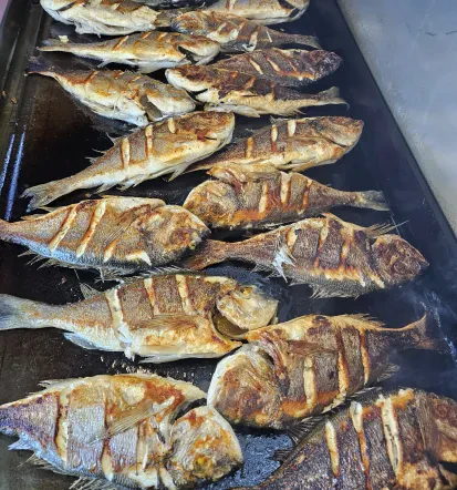 Private Fish Picnic Boat Trip on the Slovenian Coast