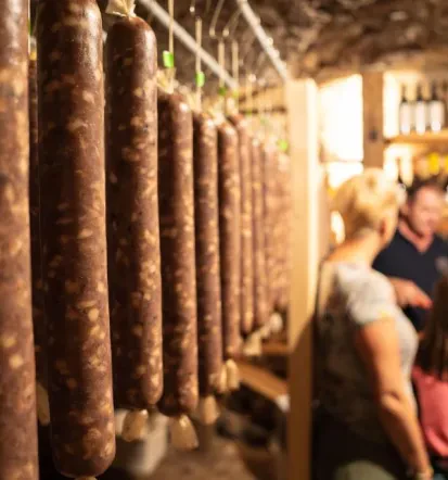 Turistična kmetija s prenočišči Nova Gorica