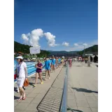 Športno društvo Plavalček