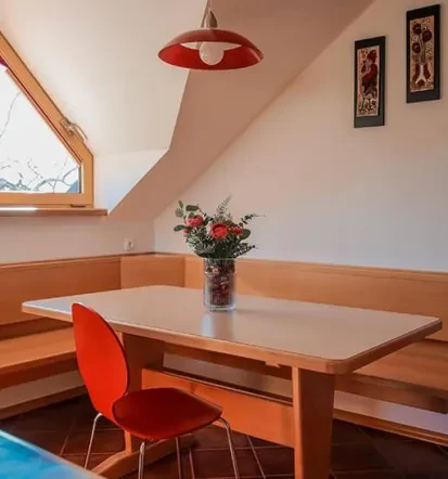 Apartment Central Slovenia