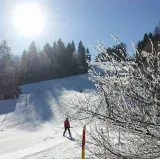ŠD Srednja vas - Bohinj