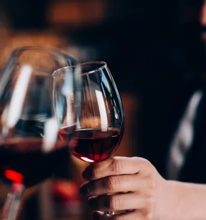 Veleprodaja vina Štajerska regija