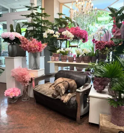 Cvetje za hotelsko avlo