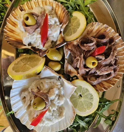 Discover the Slovenian Coast from the Sea | Bracera Meja