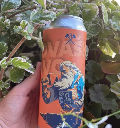 Temno nefiltrirano lager pivo Savinjska