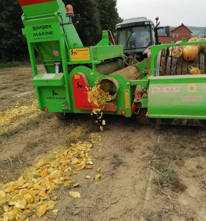 Domače bučno olje Šalovci in Pomurje
