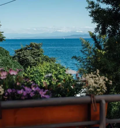 Pogled na morje