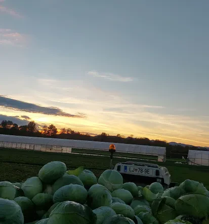 Domače kislo zelje in kisla repa Ljubljana