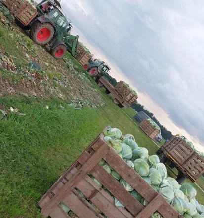 Kje kupiti domačo zelenjavo v Ljubljani in Domžalah?
