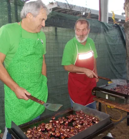 Motoristični dogodki Goriška