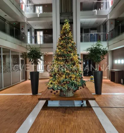 Dostava cvetja Ljubljana, Osrednja Slovenija, pokličite