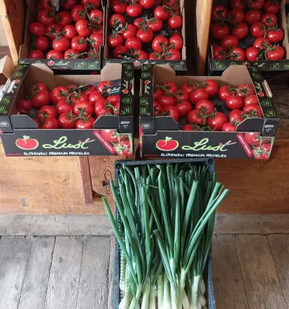 Domača zelenjava Murska Sobota in okolica, nakup na kmetiji