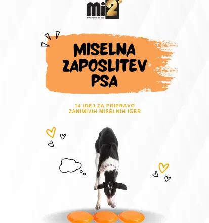 Pasja šola na Goriškem