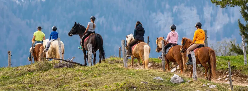 Šola jahanja in terensko jahanje na Gorenjskem