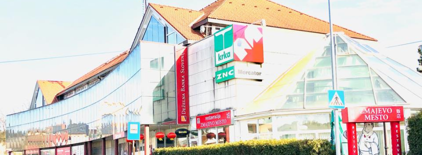 Najboljša kitajska restavracija Novo mesto